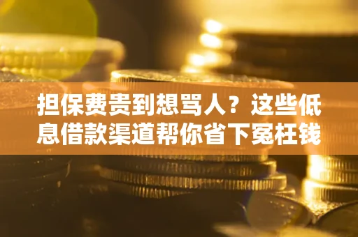 济南担保费贵到想骂人？这些低息借款渠道帮你省下冤枉钱