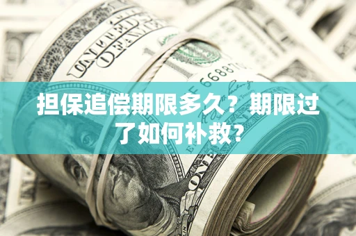 济南担保追偿期限多久？期限过了如何补救？