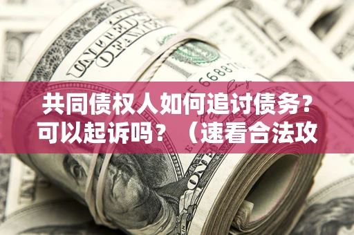 济南共同债权人如何追讨债务？可以起诉吗？（速看合法攻略）