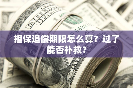 济南担保追偿期限怎么算？过了能否补救？